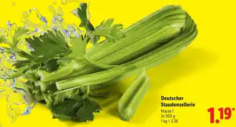 Lidl Deutscher Staudensellerie Angebot