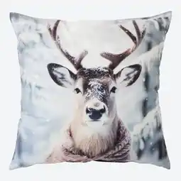 NKD Kissenhülle mit Tier-Motiven, ca. 40x40 cm Angebot