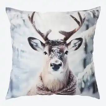 NKD Kissenhülle mit Tier-Motiven, ca. 40x40 cm Angebot