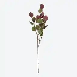 NKD Kunstzweig Eukalyptus zweifarbig, ca. 68 cm Angebot