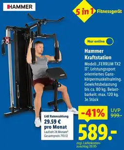 Lidl Hammer Kraftstation Angebot