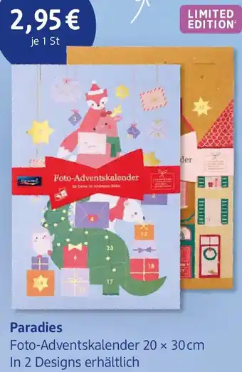 dm drogerie Paradies Foto-Adventskalender Angebot