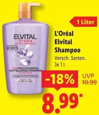 Lidl L'Oréal Elvital Shampoo Angebot
