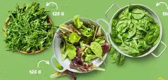 Kaufland Pflücksalat Angebot