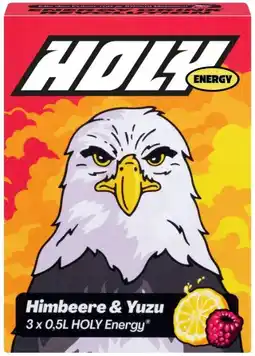 Kaufland Holy Energy Hydration Starter Mix Angebot