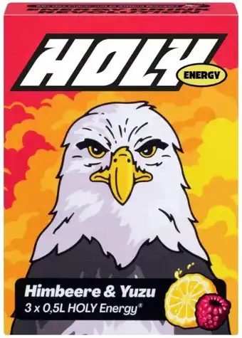 Kaufland Holy Energy Hydration Starter Mix Angebot