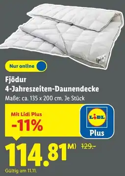 Lidl Fjödur 4-Jahreszeiten-Daunendecke Angebot