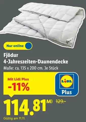 Lidl Fjödur 4-Jahreszeiten-Daunendecke Angebot