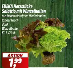 Simmel EDEKA Herzstücke Salatrio mit Wurzelballen Angebot