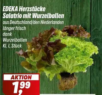Simmel EDEKA Herzstücke Salatrio mit Wurzelballen Angebot