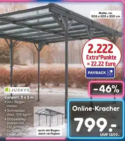 Netto Marken-Discount Juskys carport Angebot