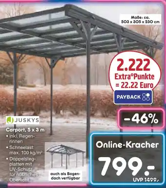 Netto Marken-Discount Juskys carport Angebot