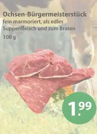 V Markt Ochsen-bürgermeisterstück Angebot