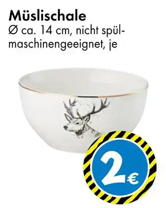 TEDi Müslischale Angebot