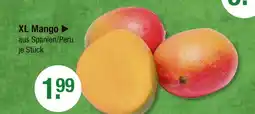 V Markt Xl mango Angebot