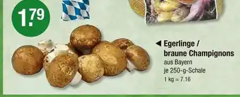 V Markt Egerlinge / braune champignons Angebot