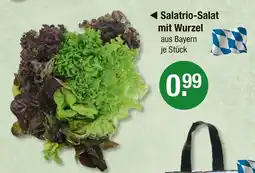 V Markt Salatrio-salat mit wurzel Angebot