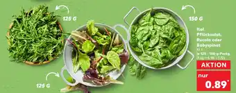 Kaufland Ital. pflücksalat Angebot