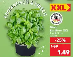 Kaufland Dtsch. basilikum xxl Angebot