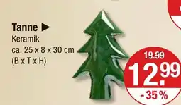 V Markt Tanne Angebot