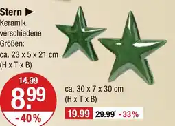 V Markt Stern Angebot