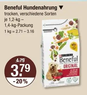 V Markt Purina beneful hundenahrung Angebot