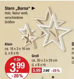 V Markt Stern 'borna' Angebot