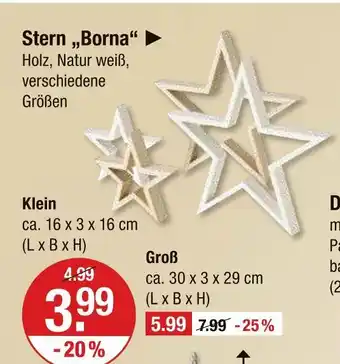 V Markt Stern 'borna' Angebot