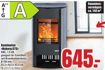 B1 Discount Baumarkt Kaminofen >>Nyborg GTS<< Angebot