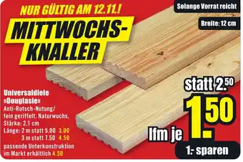 B1 Discount Baumarkt Universaldiele >>Douglasie<< Angebot