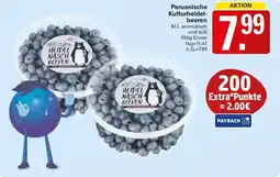 WEZ Peruanische Kulturheidelbeeren Angebot