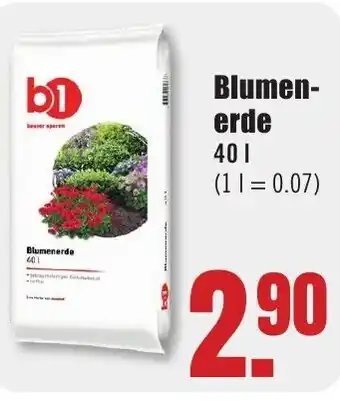 B1 Discount Baumarkt b1 Blumenerde Angebot