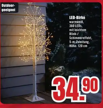 B1 Discount Baumarkt LED-Birke Angebot
