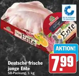 HIT Deutsche frische junge Ente Angebot