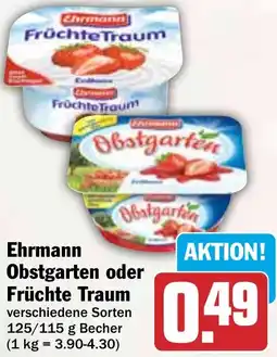 HIT Ehrmann Obstgarten oder Früchte Traum Angebot