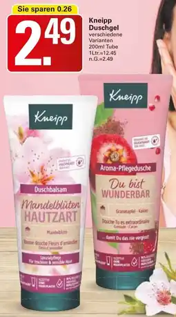 WEZ Kneipp Duschgel Angebot