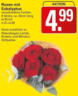 WEZ Rosen mit Eukalyptus Angebot