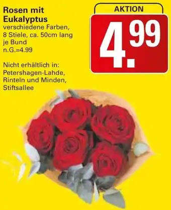 WEZ Rosen mit Eukalyptus Angebot