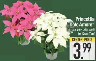 E-Center Princettia ,,Dolc Amore" Angebot