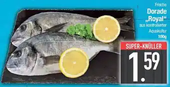 E-Center Frische Dorade „Royal" Angebot