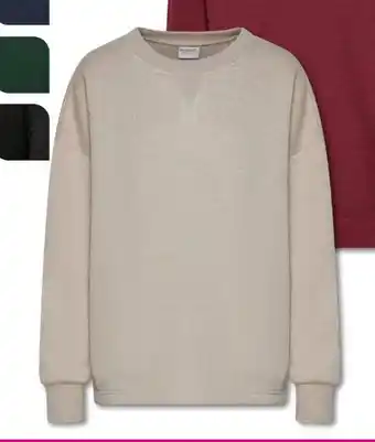 Woolworth Herren Sweatshirt Angebot
