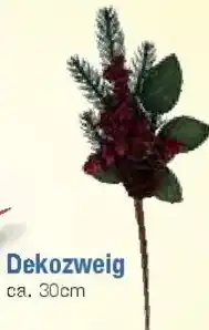 E-Center Dekozweig Angebot