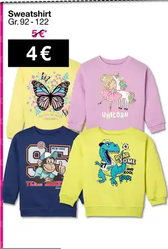 Woolworth Sweatshirt Angebot