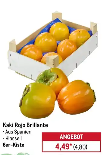 METRO Kaki Rojo Brillante Angebot