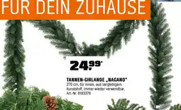 OBI TANNEN-GIRLANDE,,NAGANO" Angebot