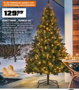 OBI KUNSTTANNE,,TRAMSO XXL" Angebot