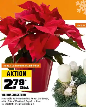 OBI WEIHNACHTSSTERN (Euphorbia pul.) Angebot