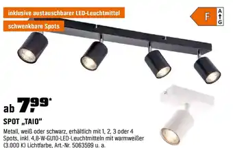 OBI SPOT,,TAIO" Angebot