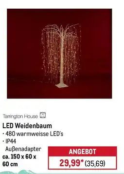 METRO Tarrington House LED Weidenbaum Angebot