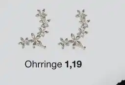 Zeeman Ohrringe Angebot
